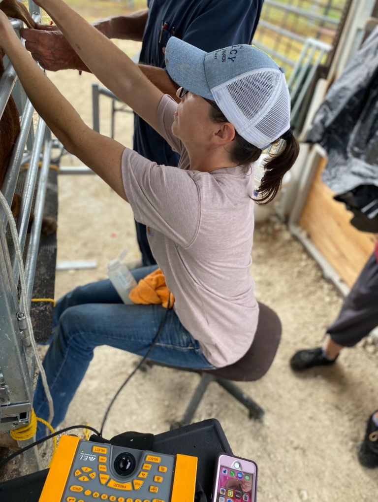 dublinveterinaryclinicpc