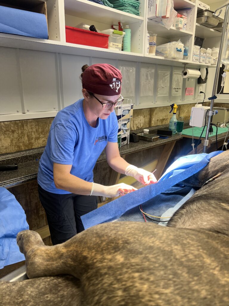 Dr Bingham in Surgery