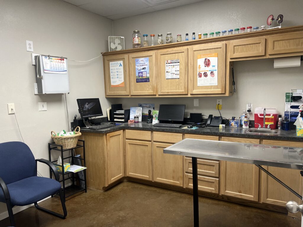 Small Animal Services