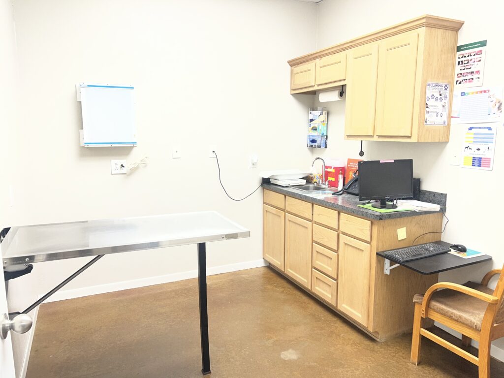 Small Animal Services 2